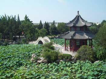 高碑店天氣預(yù)報(bào)10天查詢