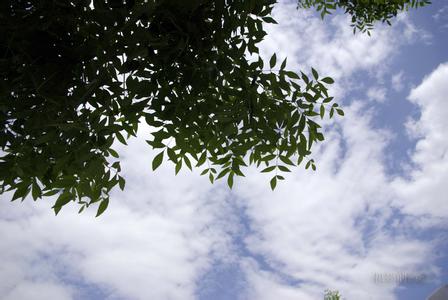 固安天氣預(yù)報10天查詢