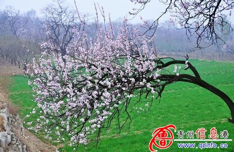 杏花嶺天氣預(yù)報(bào)10天查詢(xún)