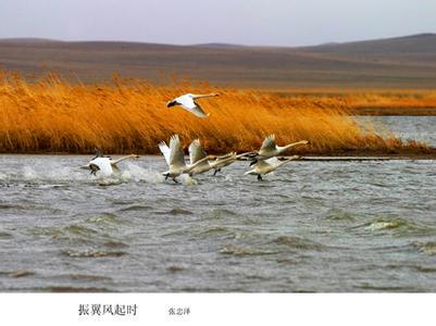 鄂溫克族旗天氣預(yù)報10天查詢