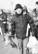 雙塔天氣預(yù)報(bào)10天查詢