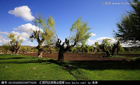 榆樹天氣預報10天查詢