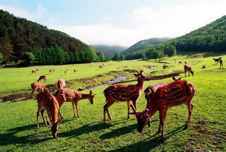 金山屯天氣預(yù)報10天查詢