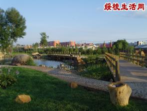 綏棱天氣預(yù)報10天查詢