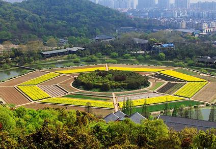 上城天氣預(yù)報(bào)10天查詢