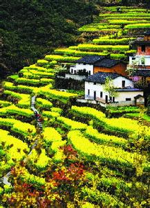開化天氣預(yù)報(bào)10天查詢