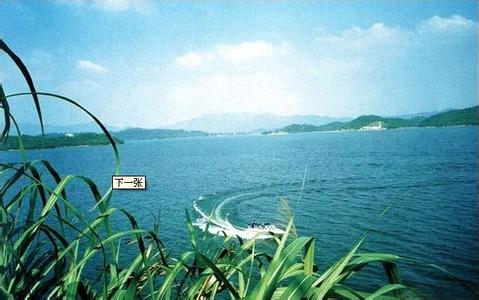 新余天氣預(yù)報10天查詢