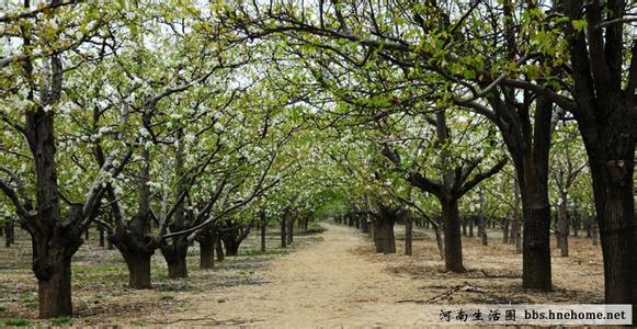 寧陵天氣預(yù)報(bào)10天查詢