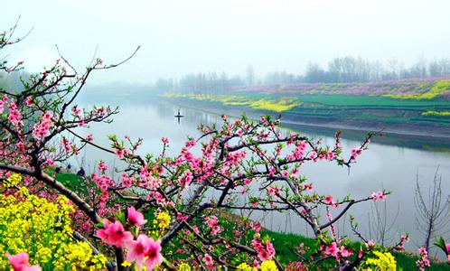 西華天氣預(yù)報(bào)10天查詢