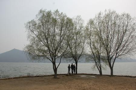 商水天氣預(yù)報(bào)10天查詢