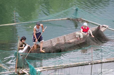 青山天氣預(yù)報10天查詢