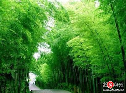 咸寧天氣預(yù)報10天查詢