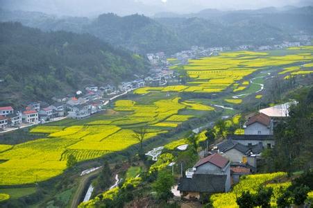 澧縣天氣預(yù)報(bào)10天查詢