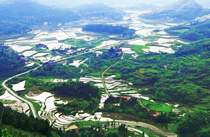 鶴城天氣預(yù)報10天查詢