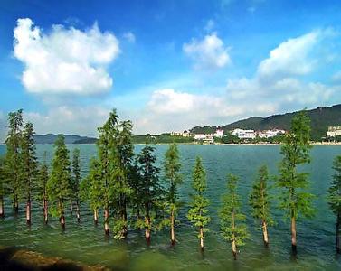 花都天氣預(yù)報(bào)10天查詢