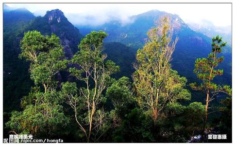 陸河天氣預(yù)報(bào)10天查詢