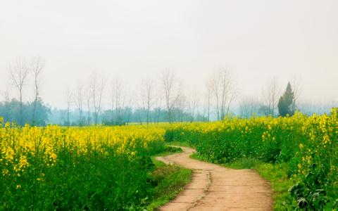 潼南天氣預(yù)報(bào)10天查詢