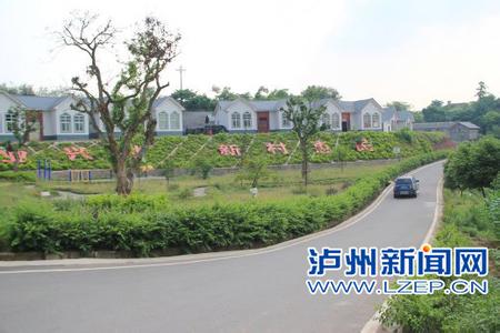 江陽(yáng)天氣預(yù)報(bào)10天查詢