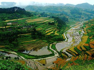 習(xí)水天氣預(yù)報(bào)10天查詢