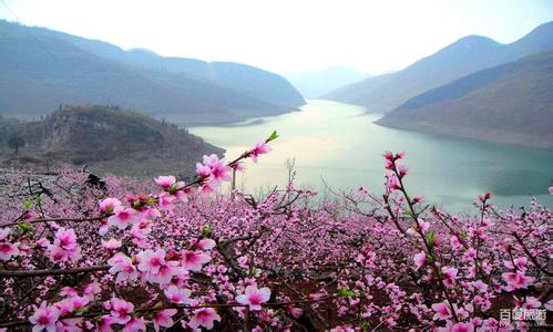 普定天氣預(yù)報(bào)10天查詢