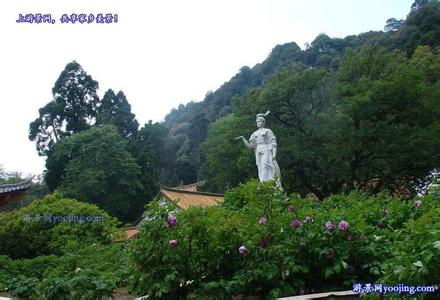 武定天氣預(yù)報10天查詢