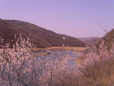 印臺(tái)天氣預(yù)報(bào)10天查詢