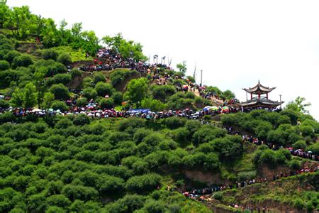 岷縣天氣預(yù)報(bào)10天查詢