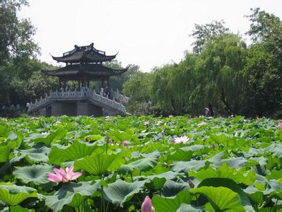 清苑天氣預報30天查詢,清苑縣一個月天氣