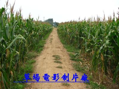 景縣天氣預(yù)報30天查詢,景縣一個月天氣