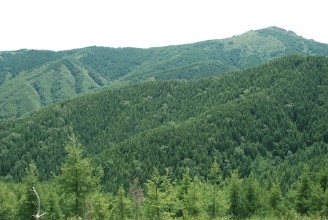 興和天氣預報30天查詢,興和縣一個月天氣