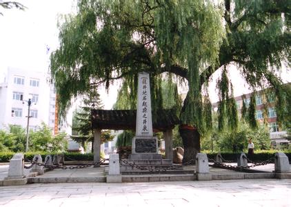 龍井天氣預(yù)報(bào)30天查詢,龍井市一個(gè)月天氣