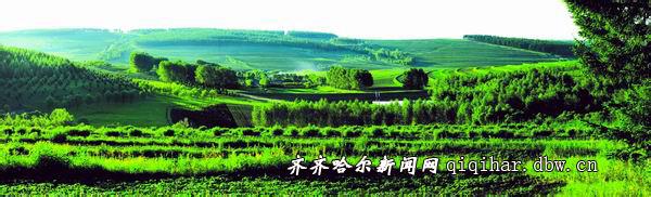 拜泉天氣預報30天查詢,拜泉縣一個月天氣