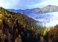 五營(yíng)天氣預(yù)報(bào)30天查詢,五營(yíng)區(qū)一個(gè)月天氣
