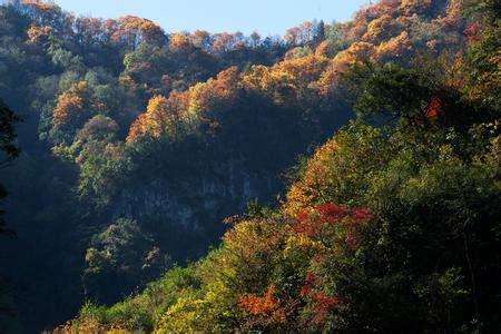東安天氣預(yù)報30天查詢,東安區(qū)一個月天氣