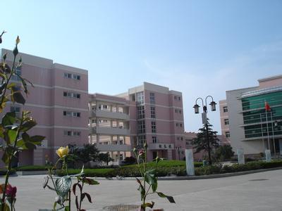 新北天氣預報30天查詢,新北區一個月天氣