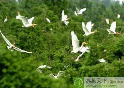 洪澤天氣預報30天查詢,洪澤縣一個月天氣