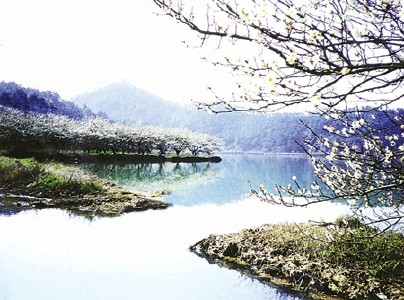 蕭山天氣預報30天查詢,蕭山區一個月天氣