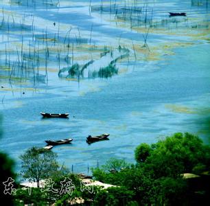 平湖天氣預(yù)報(bào)30天查詢,平湖市一個(gè)月天氣