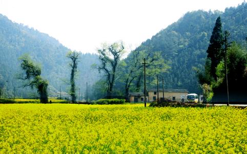 開化天氣預報30天查詢,開化縣一個月天氣
