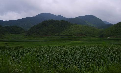 景寧天氣預報30天查詢,景寧縣一個月天氣