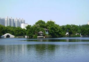 廬陽天氣預(yù)報(bào)30天查詢,廬陽區(qū)一個(gè)月天氣