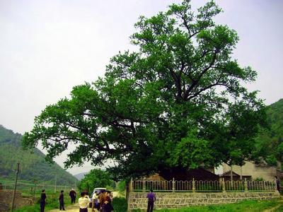 銅陵縣天氣預報30天查詢,銅陵縣一個月天氣