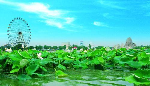 阜陽天氣預報30天查詢,阜陽市一個月天氣