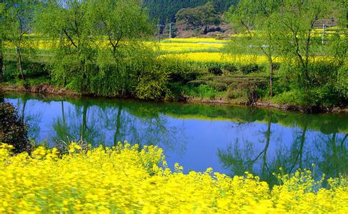 蒙城天氣預(yù)報30天查詢,蒙城縣一個月天氣