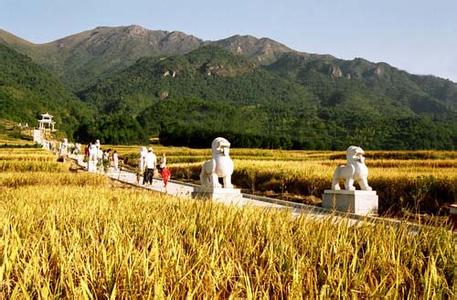 柘榮天氣預(yù)報(bào)30天查詢,柘榮縣一個(gè)月天氣