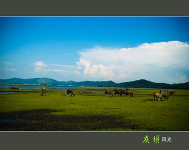 分宜天氣預報30天查詢,分宜縣一個月天氣