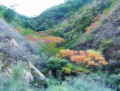 寧陽天氣預報30天查詢,寧陽縣一個月天氣