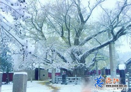 莒縣天氣預報30天查詢,莒縣一個月天氣