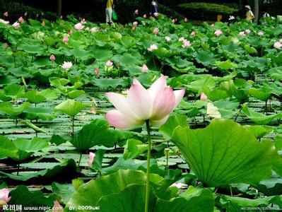 曹縣天氣預報30天查詢,曹縣一個月天氣