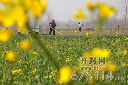 金明天氣預(yù)報30天查詢,金明區(qū)一個月天氣